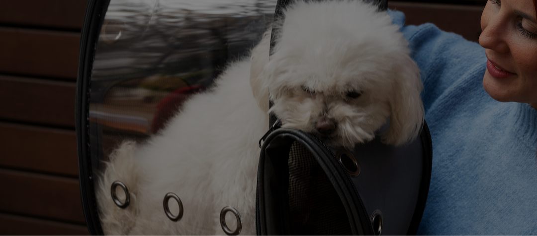 Industry Animal industry