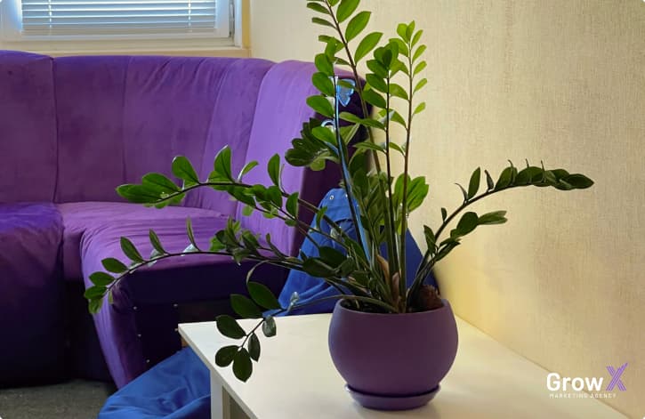 Grow X Inc. main office